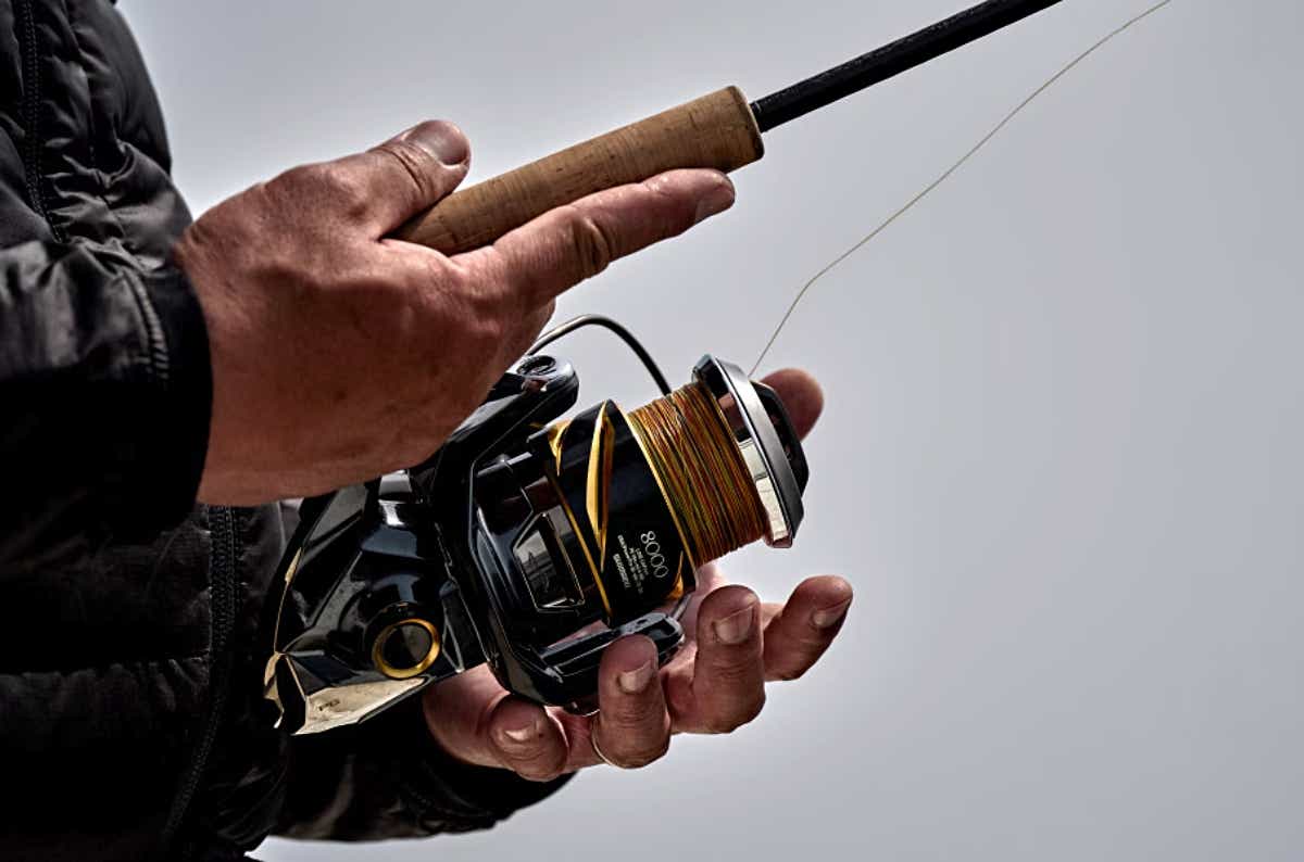 ステラSW】汎用的に使える“ちょうどいいサイズ”が待望のモデルチェンジ