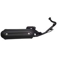 アドレスV50/G/Vチューン | ADDRESS V50 ＞ マフラー