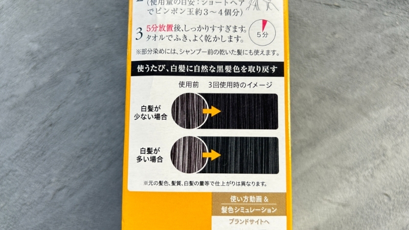 口コミ】花王ブローネリライズ白髪用髪色サーバーは白髪染まらない