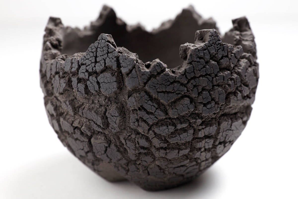 新品 Konect black fang xs / コネクト ブラック ファング 植木鉢 鉢