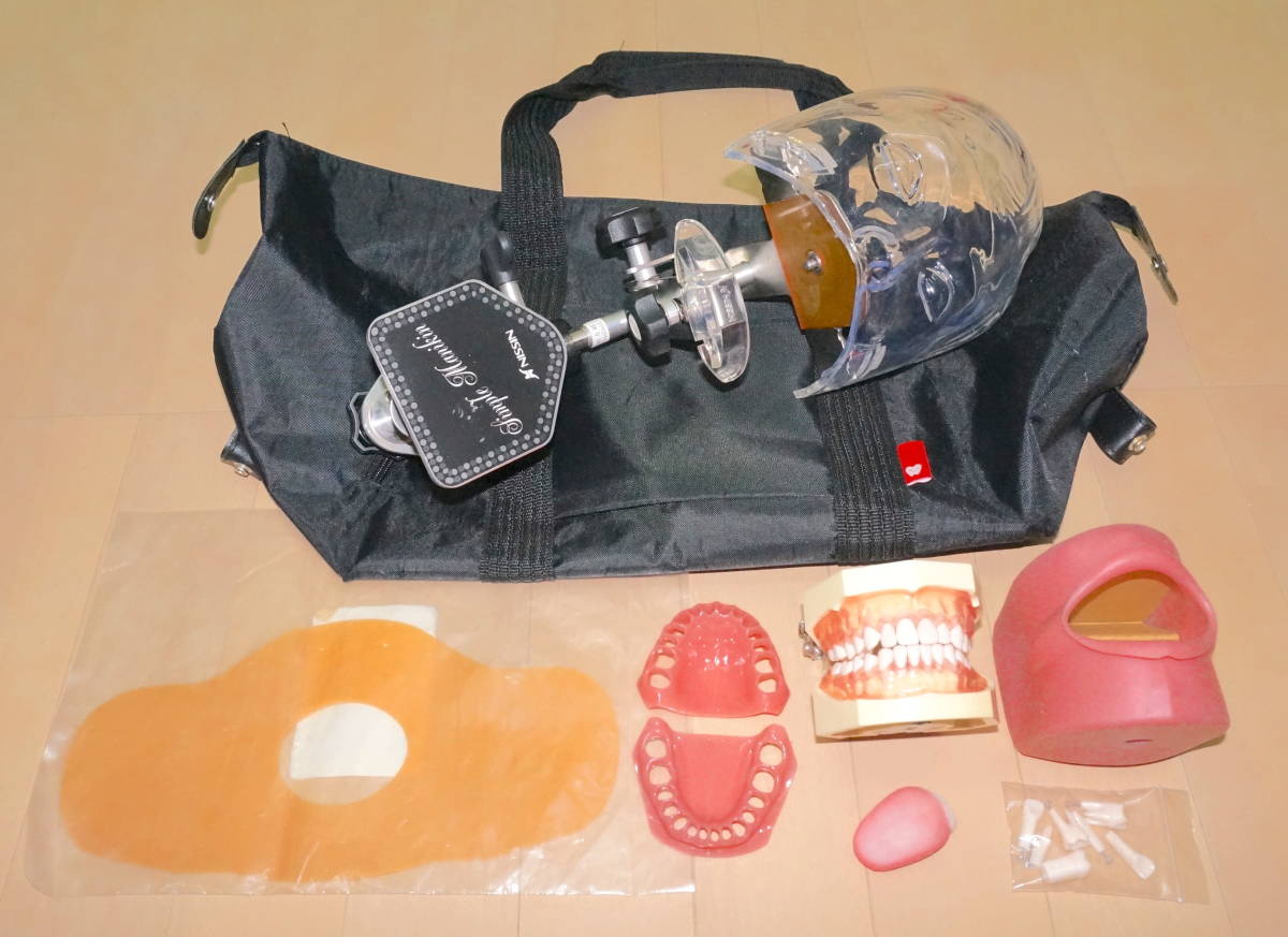 シンプルマネキン 歯科用 【公式通販】