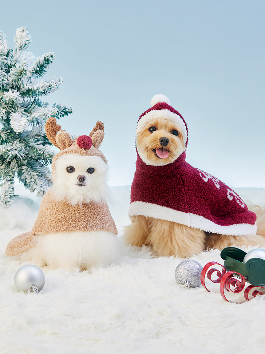 HOLIDAY】【CAT&DOG】スキーベアトイ(グッズ)｜ルームウェア・パジャマ