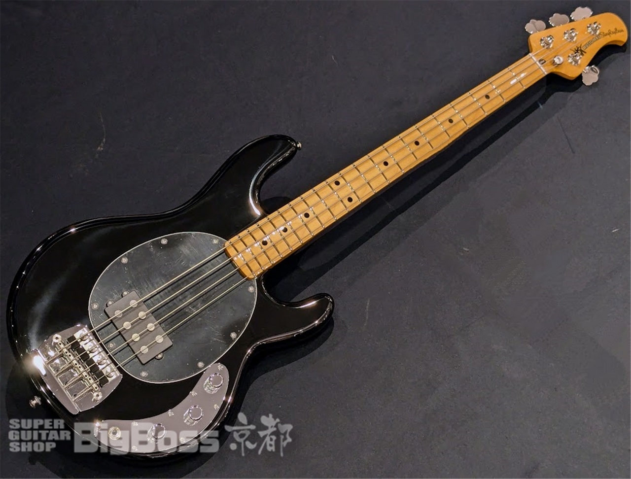 MUSIC MAN Retro 70s StingRay / Black（新品/送料無料）【楽器検索