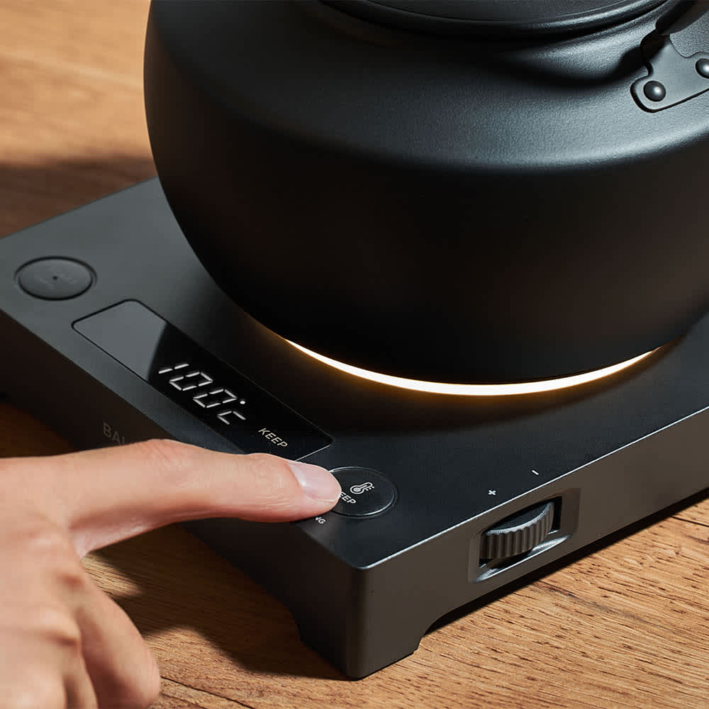 BALMUDA/バルミューダ MoonKettle（ムーンケトル） 通販 - ディノス