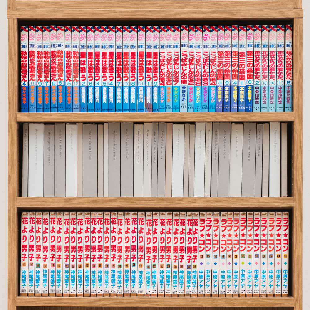 細かな棚調節で効率収納できる スマート薄型本棚 ロータイプ 高さ117cm