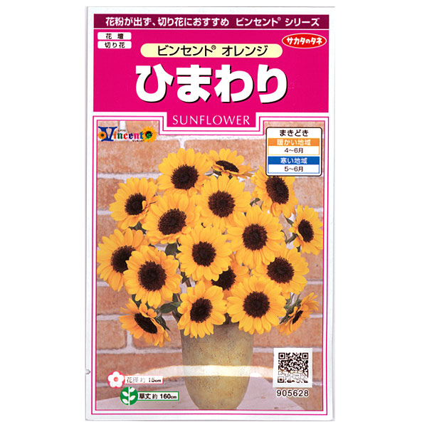 園芸ネット本店｜ヒマワリ：ビンセント オレンジ[サカタ 花タネ] の