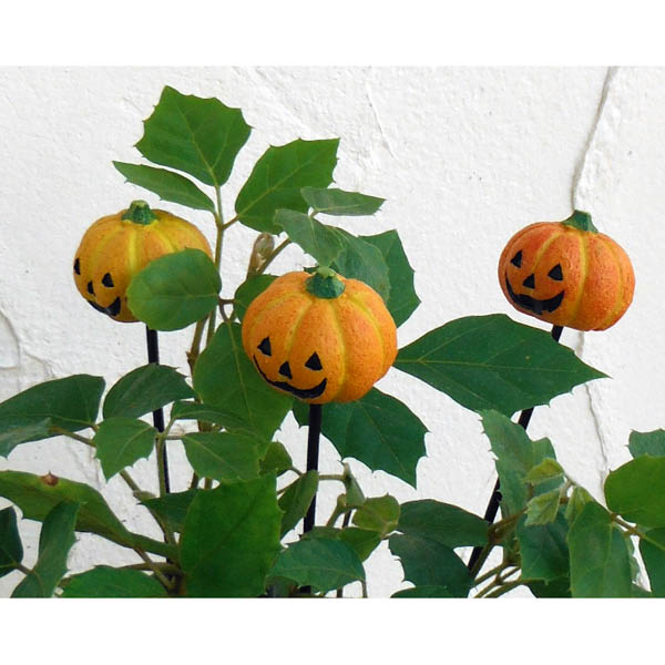園芸ネット本店｜ハロウィンピック：パンプキン3個セット （HW1295
