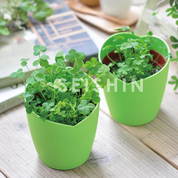 園芸ネット本店｜[ギフトに]四つ葉のクローバー栽培セット の通販【公式】