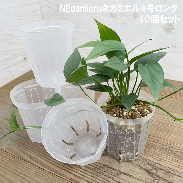 園芸ネット本店｜スリット鉢（透明）：ネガミエル4号ロング10個セット