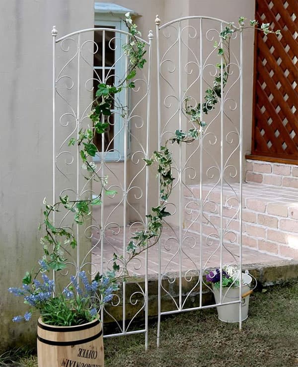 園芸ネット本店｜[送料無料]ブランティーク：ホワイトアイアントレリス