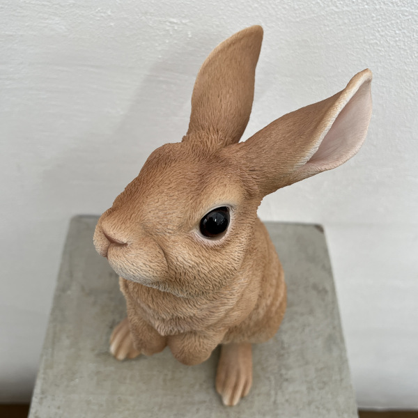 園芸ネット本店｜WooBia：見上げて立つベージュ白ウサギ（H12207-3