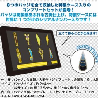 ポケモン - ポケットモンスターブラック2ホワイト2 バッジコレクション