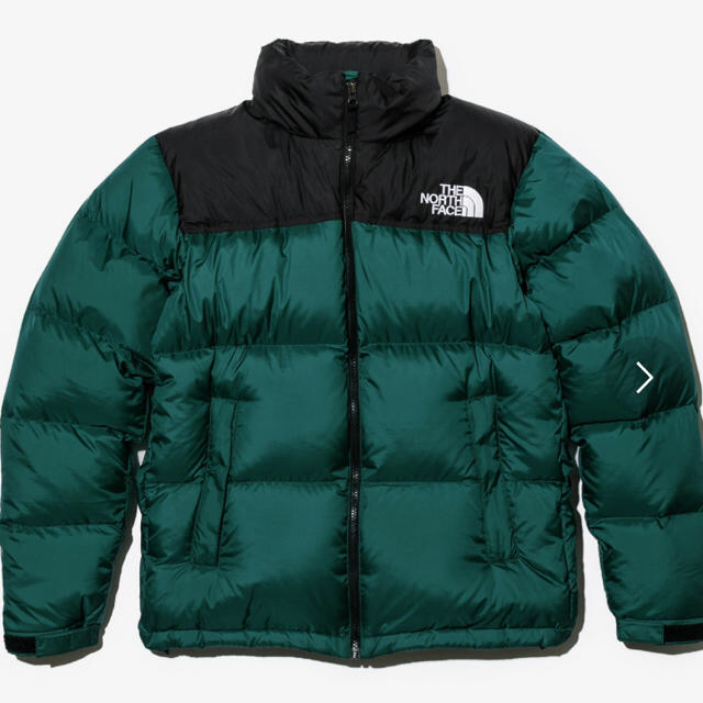 THE NORTH FACE - 25日まで 18新作 ザノースフェイス ヌプシジャケット