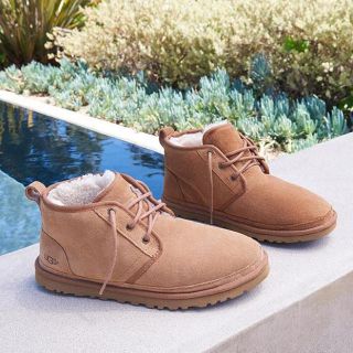 537065837.jpg?1544267870