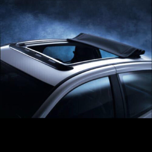 正規品 後付けサンルーフ キャンバストップ Hollandia400DeLuxeの通販