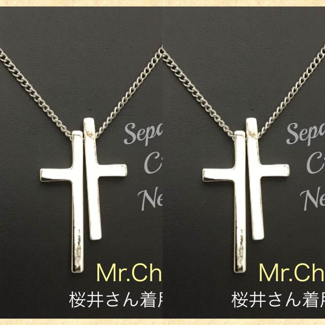 2個！ミスチル桜井和寿さん着用タイプ！セパレートクロスシルバー
