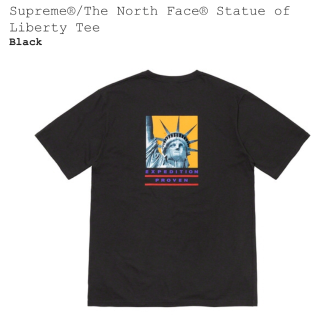 Supreme - supreme × the north face Teeの通販 by メンツル's shop