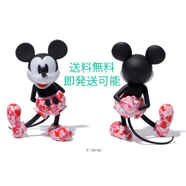 MEDICOM TOY × BOTANIZE VCD