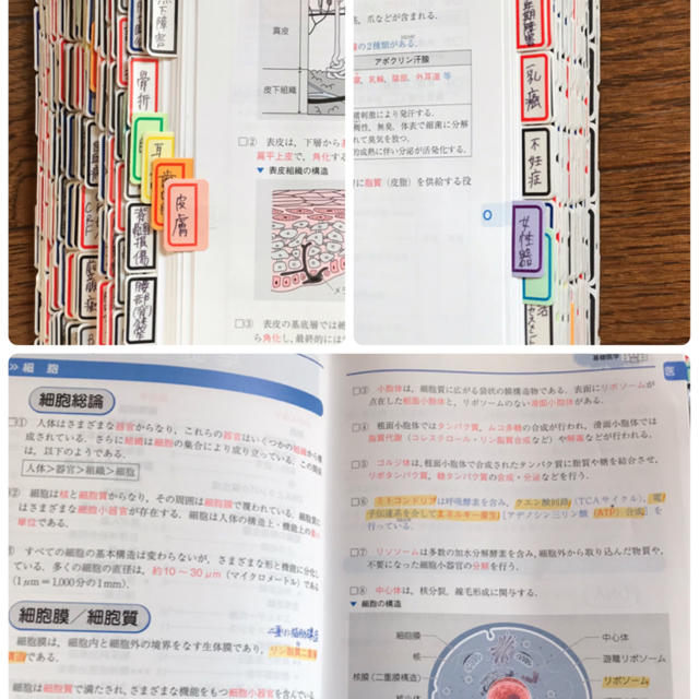 看護師・看護学生のためのレビューブック 2020 第21版の通販 by