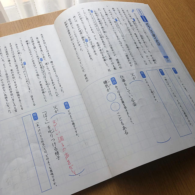 SAPIX家庭学習用教材 言葉の学びコトノハ 2冊セットの通販 by ⭐︎鈴蘭