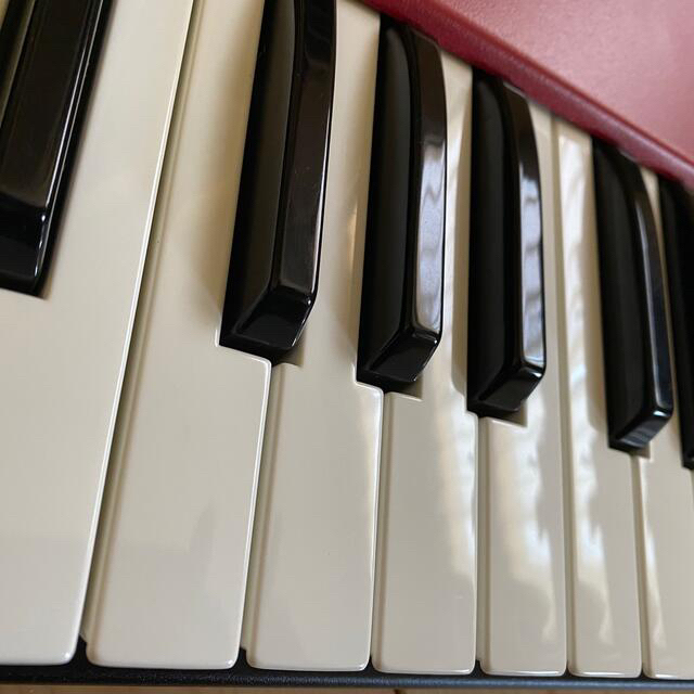 PANDESOIL-Clavia nord lead 2X バーチャル・アナログ・シンセサイザー