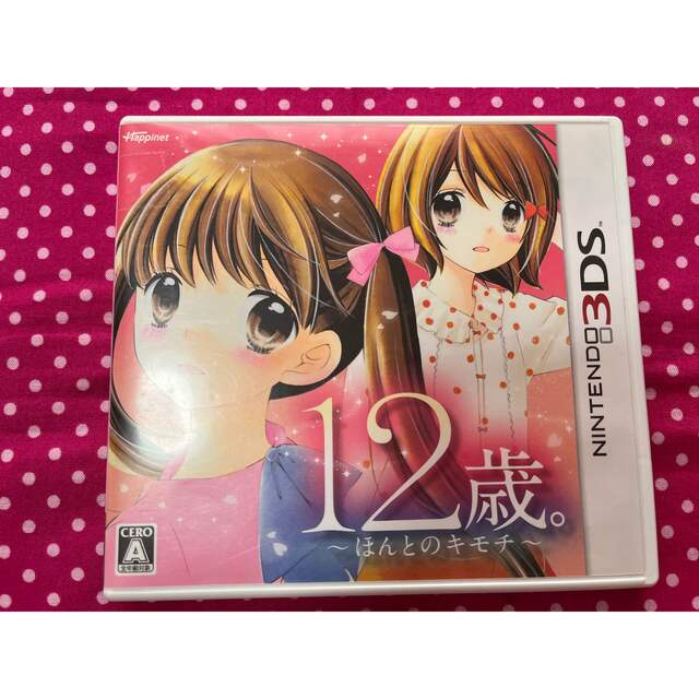 ニンテンドー3DS - 12歳 〜ほんとのキモチ〜 3DS DS ソフトの通販 by