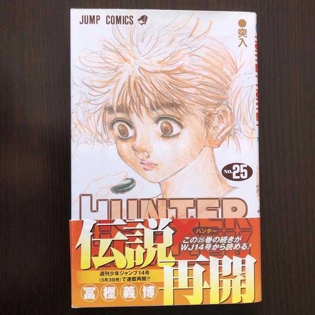 集英社 - HUNTER×HUNTER 25 ハンターハンター 初版の