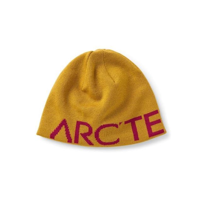 ARC'TERYX - 新品 アークテリクス ワードヘッドトーク ニット帽