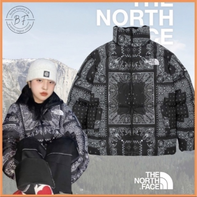 THE NORTH FACE - THE NORTH FACE ノースフェイス ダウンジャケット