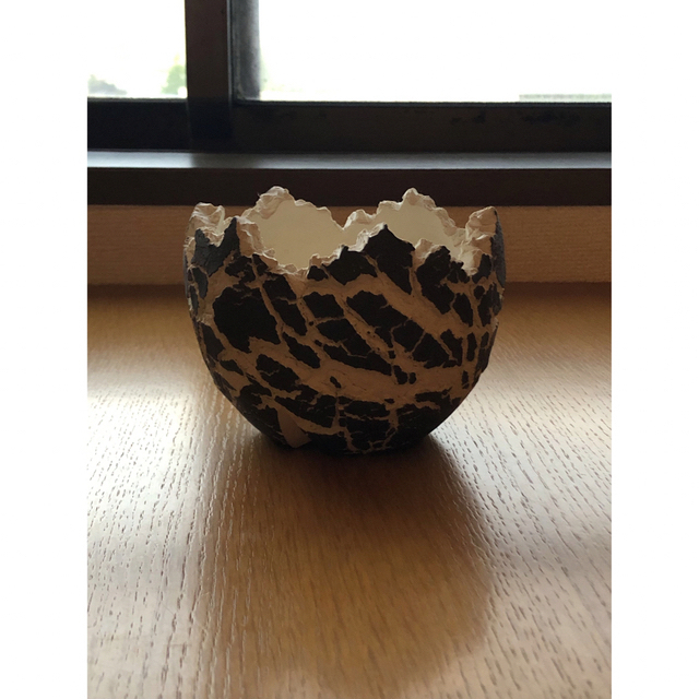 konect fang 鉢 白黒 S