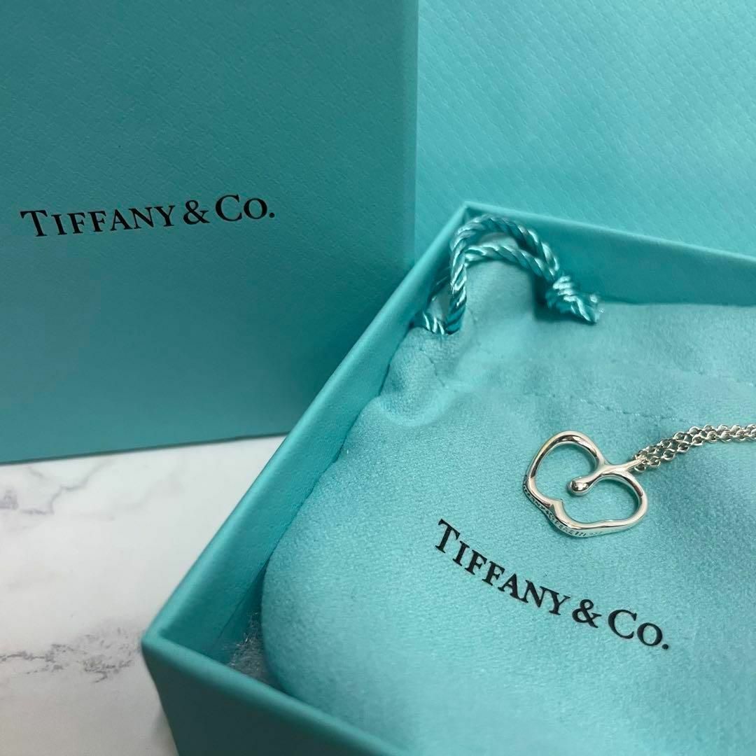 Tiffany & Co. - 【美品】Tiffany ティファニー アップル ネックレス