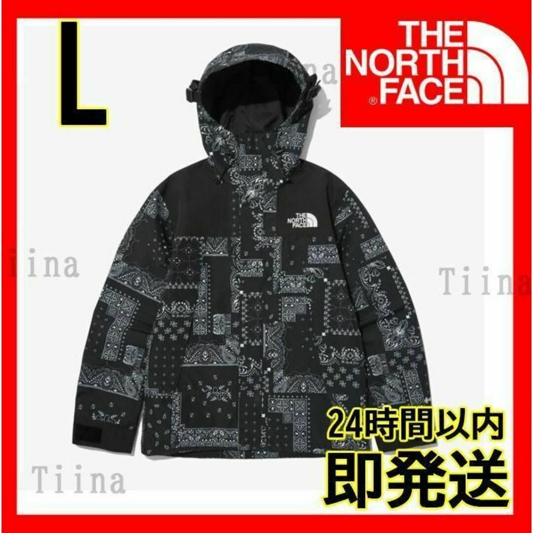 THE NORTH FACE - L 新品 韓国 ノースフェイス マウンテンジャケット