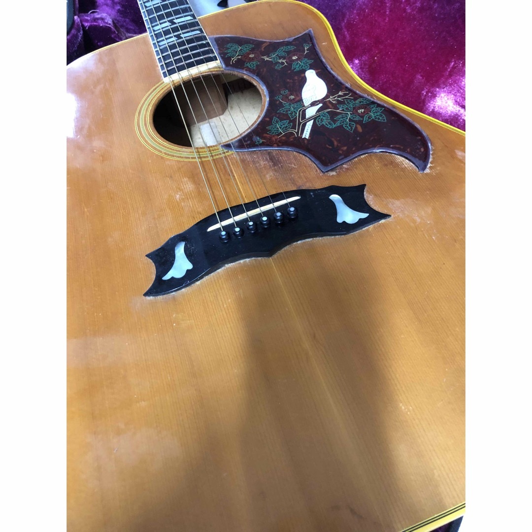 Gibson - Gibson DOVE custom 1970年代 ヴィンテージGibson の通販 by