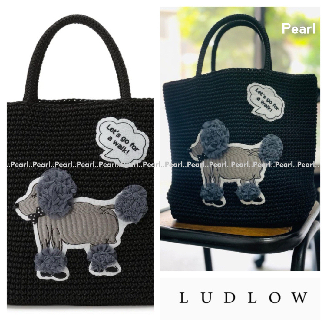 LUDLOW - ✨最終価格✨新品 2024新作 ラドロー 完売 プードル 限定