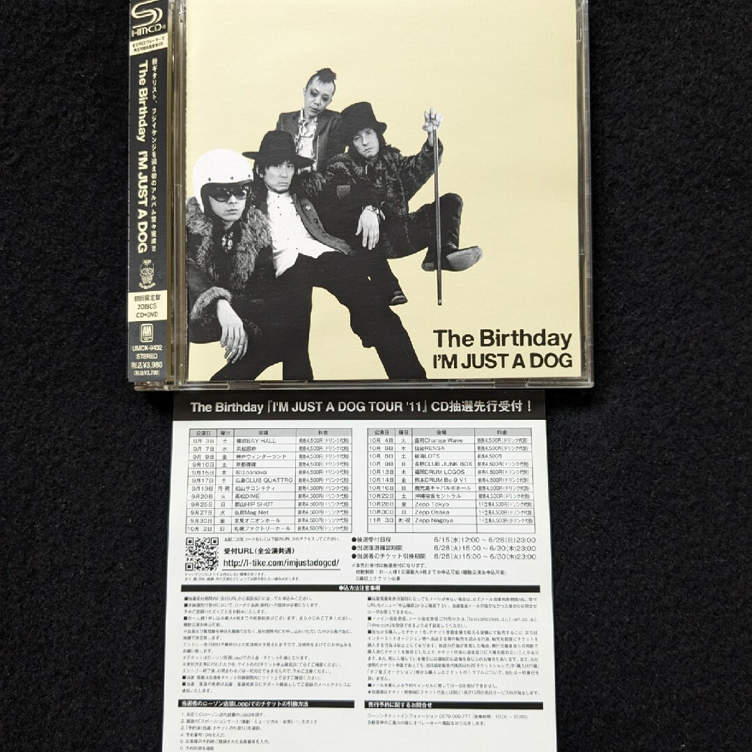 The Birthday 涙がこぼれそう DVD LIVE ライブ チバユウスケの通販 by