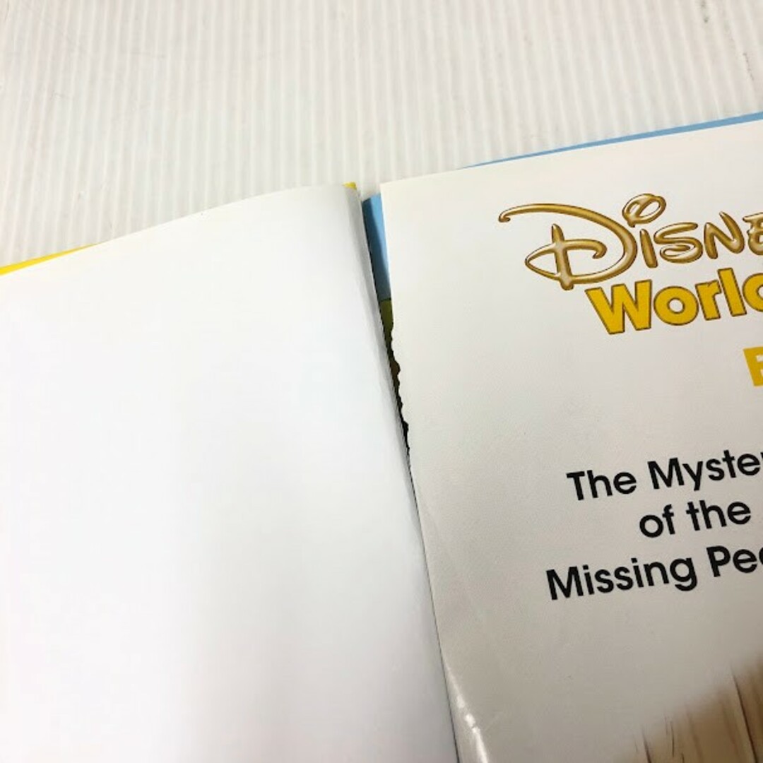 ディズニー英語システム メインプログラム Blu-ray 最新 2020年購入 未