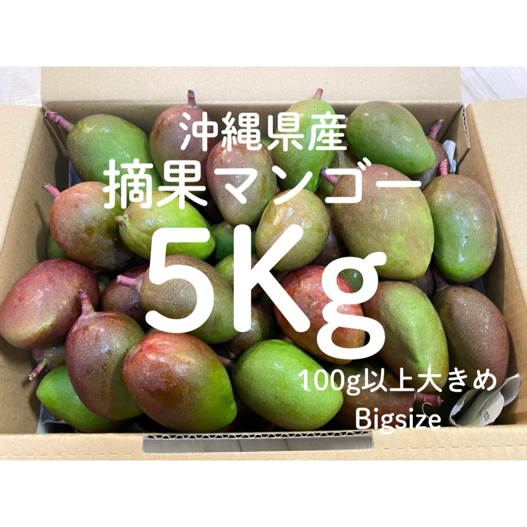 摘果マンゴー 約18キロ 宮崎県産摘果マンゴー グリーンマンゴー 約18kg