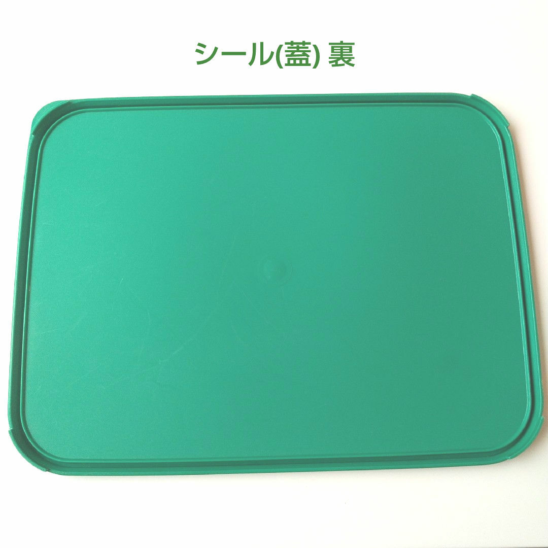 TupperwareBrands - 【未使用】タッパーウェア MMワイド 大容量食品