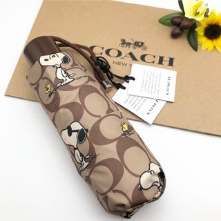 COACH（傘）のフリマアイテム一覧