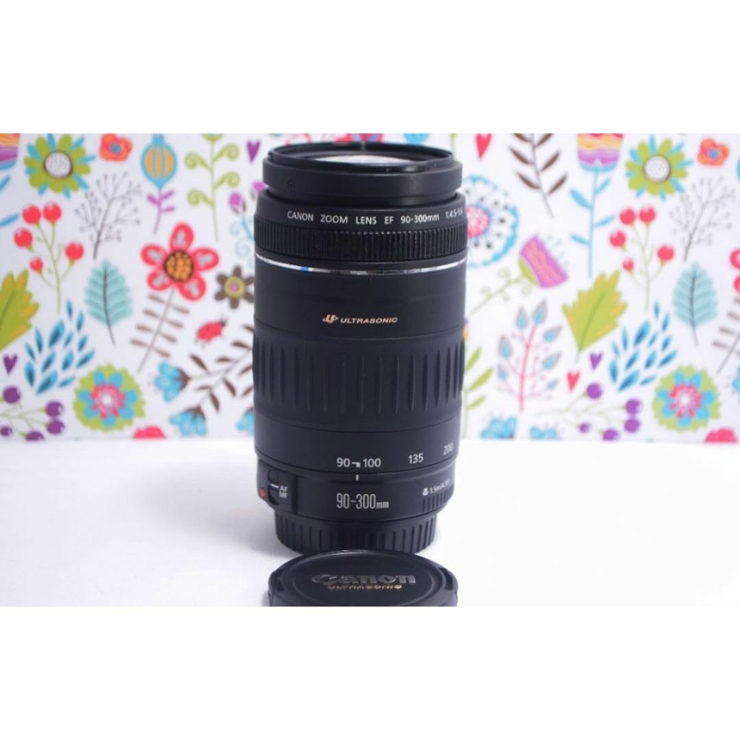 ☆新品級☆一眼用 超迫力望遠レンズ キヤノン EF90-300mm Canon