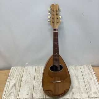 F タイプ フラットマンドリン用 ピックガード セットの通販 by