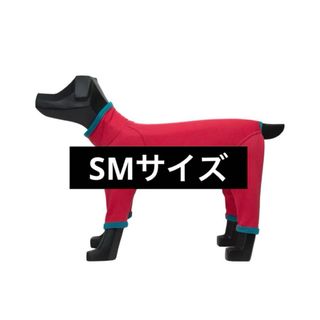 ALPHAICON（犬）のフリマアイテム一覧