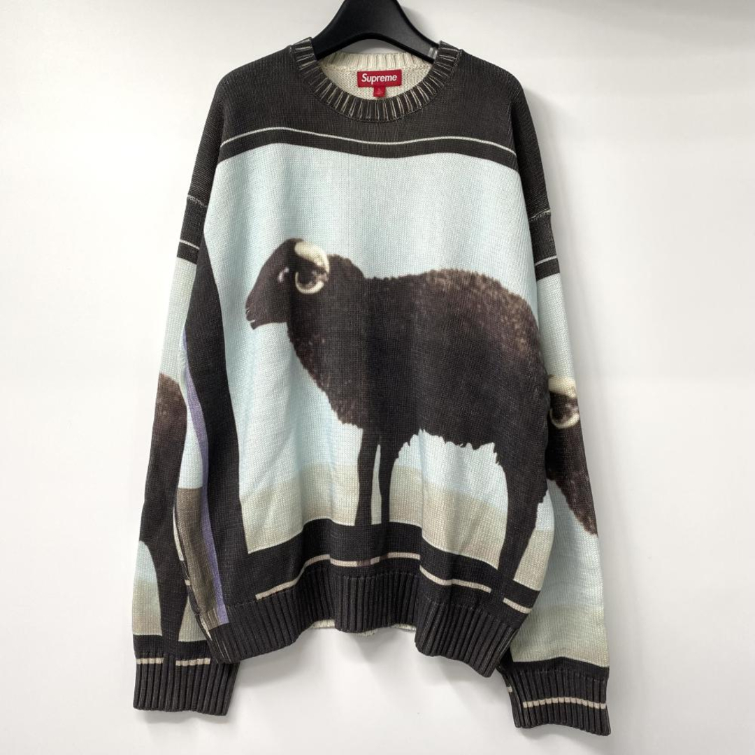 Supreme - 【中古】Supreme 25SS Damien Hirst Sweater サイズL ブルー