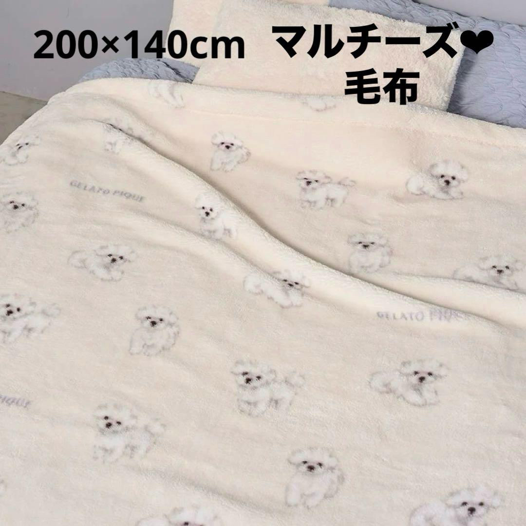 gelato pique - 【新品未開封】 ジェラートピケ Sleep DOG柄 プリント