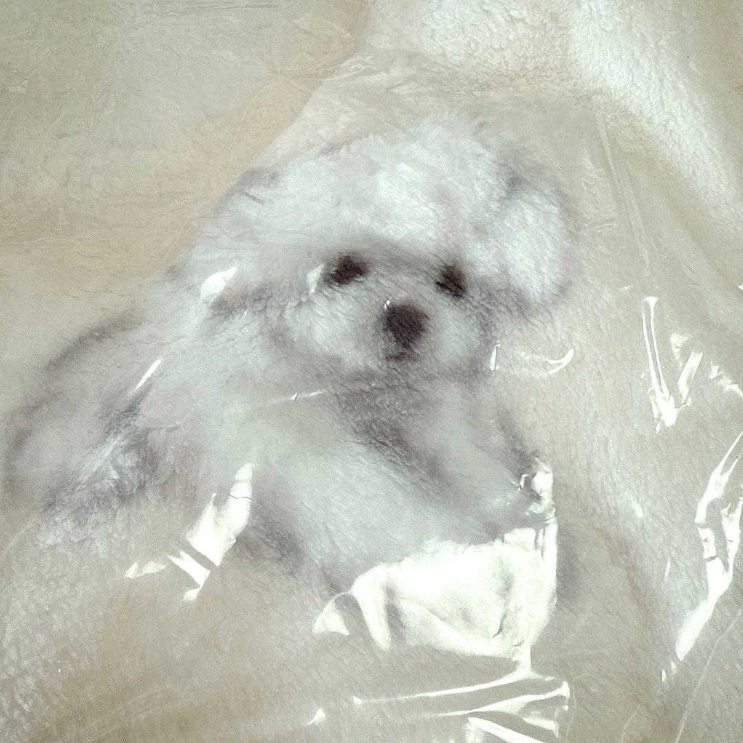 gelato pique - 【新品未開封】 ジェラートピケ Sleep DOG柄 プリント