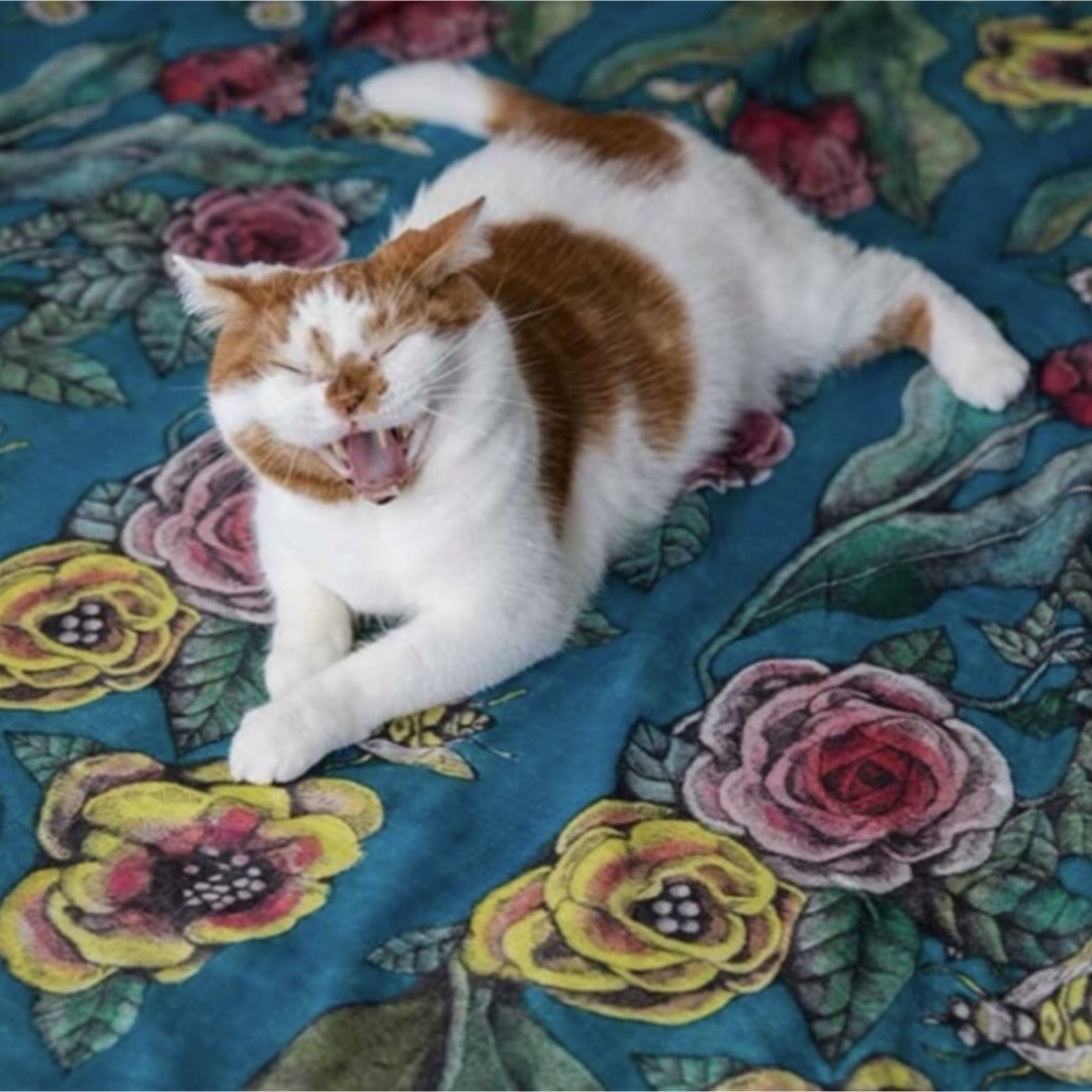 ヒグチユウコ - ヒグチユウコ 受注 大判ストール 花と蜂 ボリス雑貨店