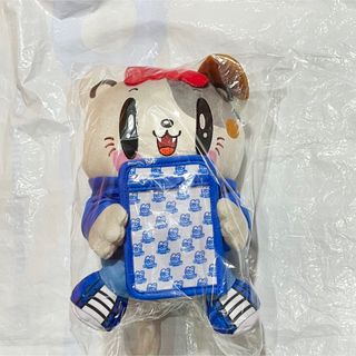 GENERATIONS - GENERATIONS ジェ猫 缶バッジ 小森隼 6IX SENSE 福岡