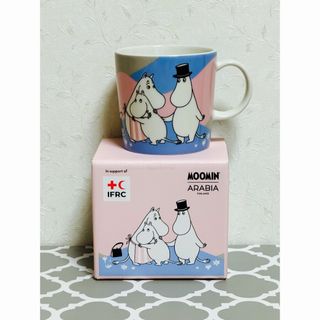 ARABIA - 廃番 新品 未使用 ARABIA eeva 25cm オーバルプレートの通販