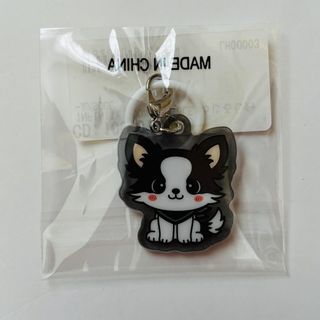 三代目 J Soul Brothers - 三代目JSB 登坂広臣 フォトカード 4枚