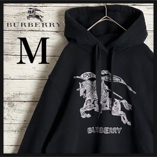 BURBERRY（パーカー）のフリマアイテム一覧